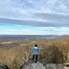 review